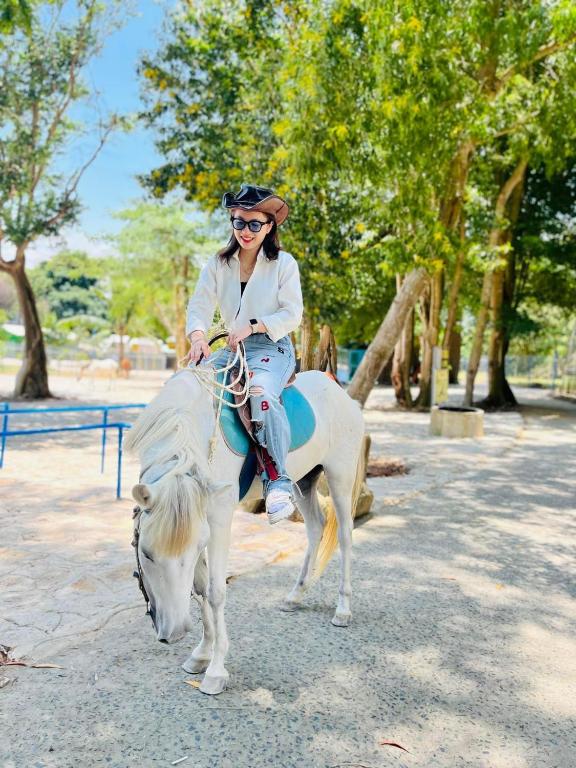 Hosté ubytování HỒ MÂY PARK Vũng Tàu Khách Sạn - Resort