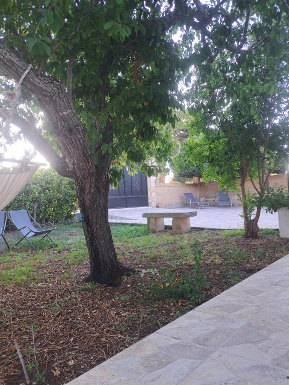 Zahrada ubytování B&B Piccolo Vigneto
