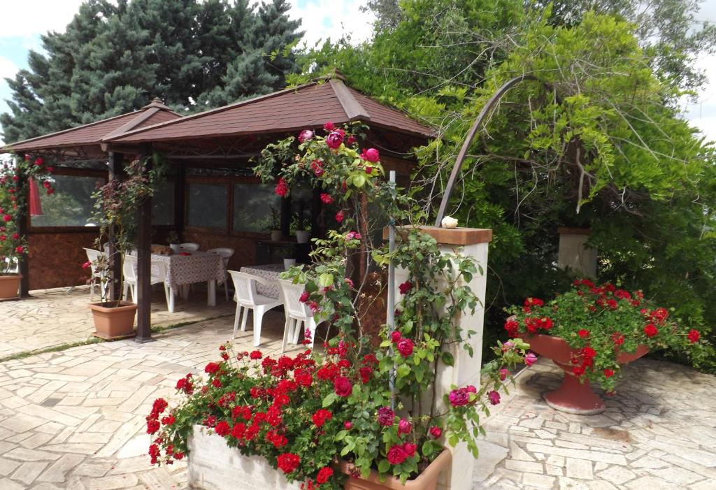 Zahrada ubytování B&B Villa Lena