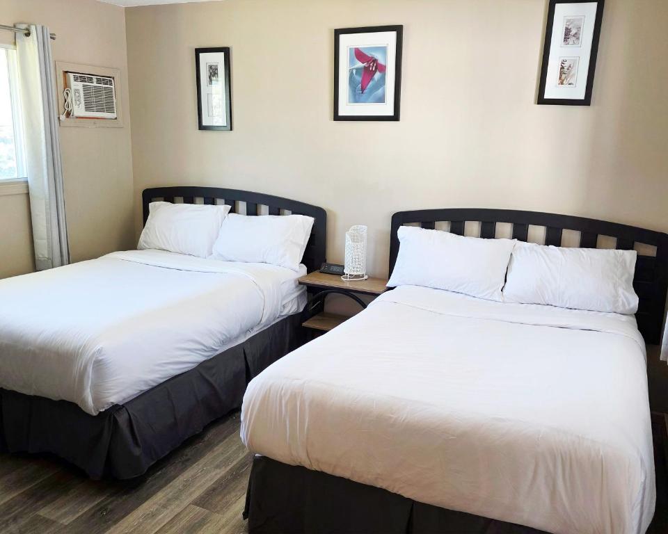 Skimmerhorn Inn - 