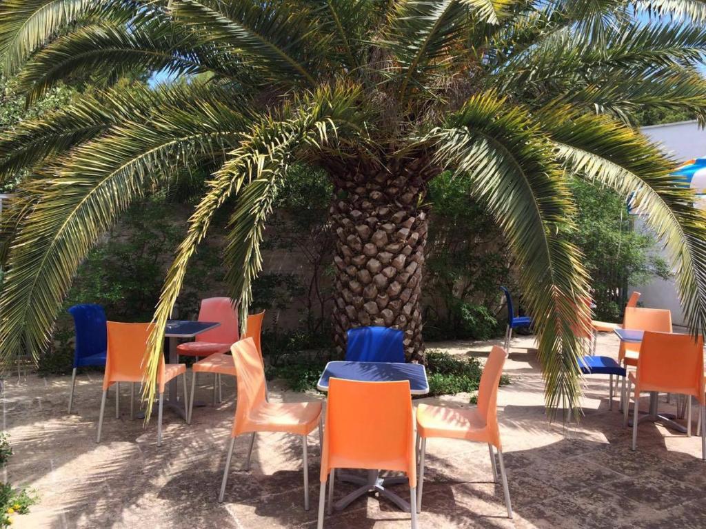 Zahrada ubytování Camping Cala dei Ginepri