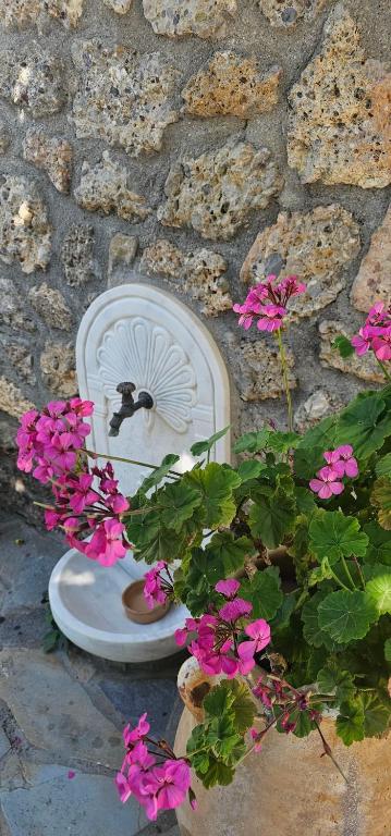 Zahrada ubytování Peloponnese Hideout - Traditional stone house