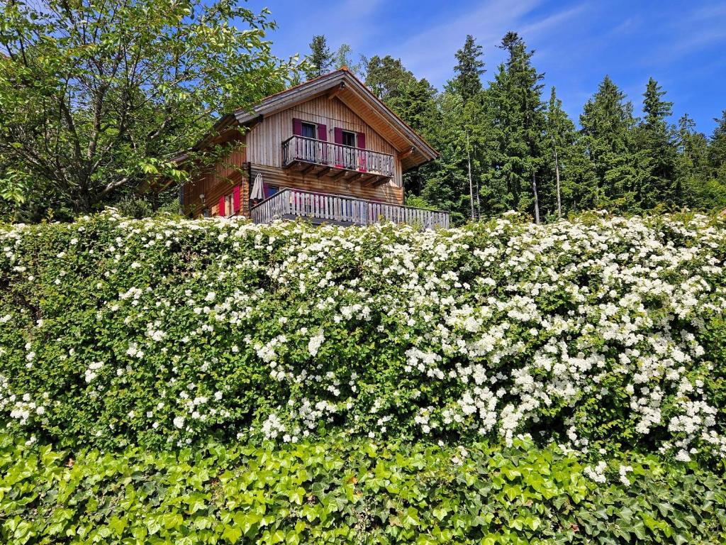 Vonkajšia záhrada v ubytovaní Großes Ferienhaus mit 5 Schlafzimmer & 4 Bäder