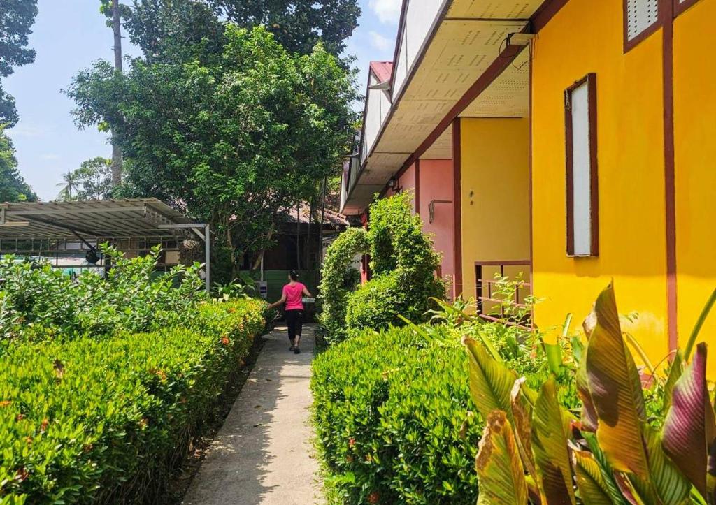 Zahrada ubytování Everest Resort Samui - SHA Plus