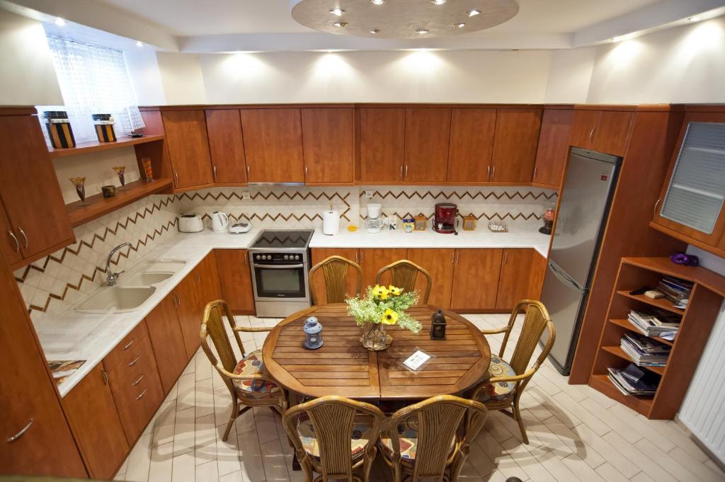 Kuchyň nebo kuchyňský kout v ubytování Apollon apartment Delphi
