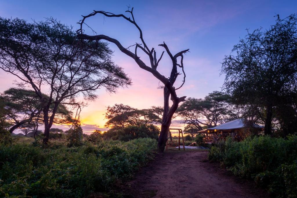 Baobab Tented Camp, Kwa Kuchinia (updated prices 2026)