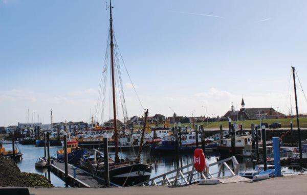 a bunch of boats docked in a harbor at Vakantiewoning aan De Grevelingen in Bruinisse