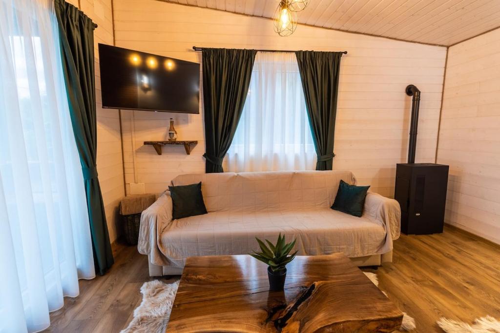 a living room with a couch and a table at Nature Loft in Porumbacu de Sus