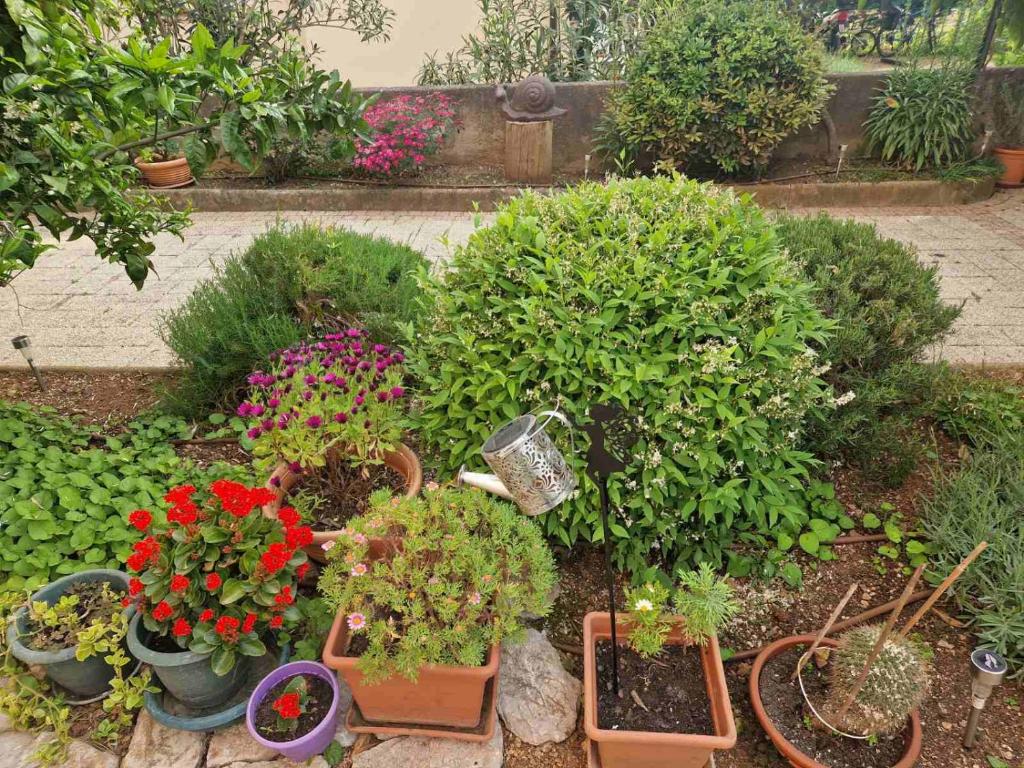 Ogród w obiekcie Apartman Ruza