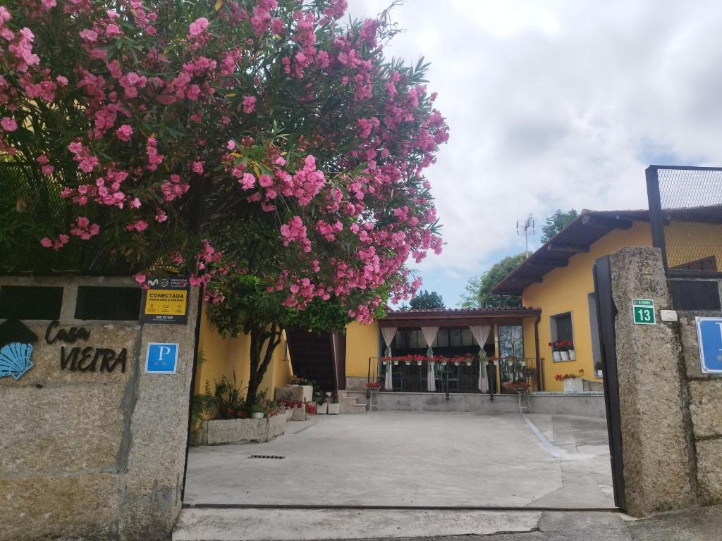 a tree with pink flowers in front of a building at Casa Da Vieira in Ourense