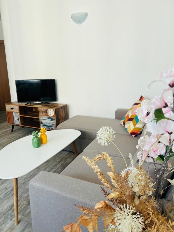 TV a/nebo společenská místnost v ubytování Green Paradise apartments