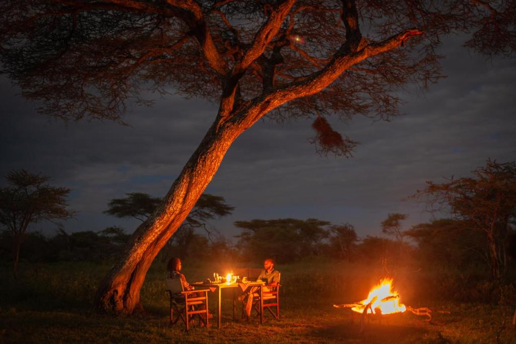 Fotografie z fotogalerie ubytování Gnu Ndutu Camp v destinaci Sinoni