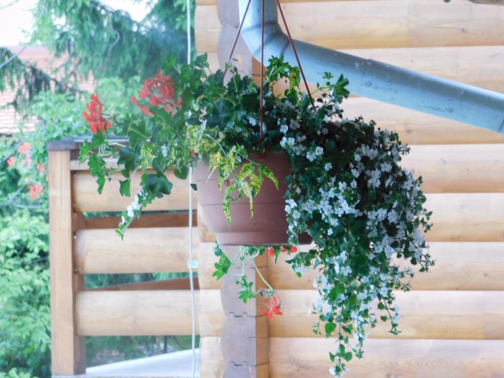 Guesthouse Sara - 11