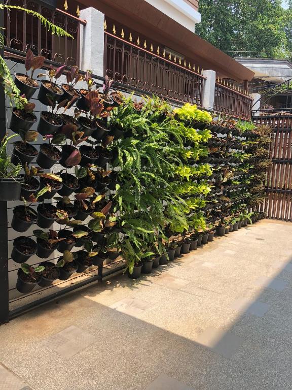 Celosia Chiang Mai Hotel - Resim 33