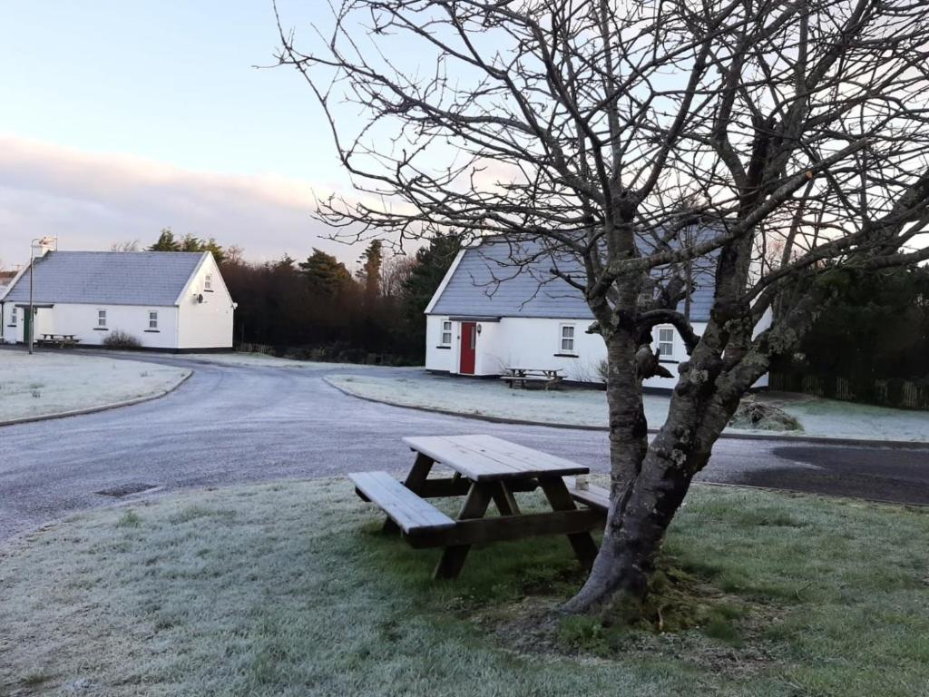 Fotografie z fotogalerie ubytování Daffodil Cottage 2 Bedroom v destinaci Louisburgh