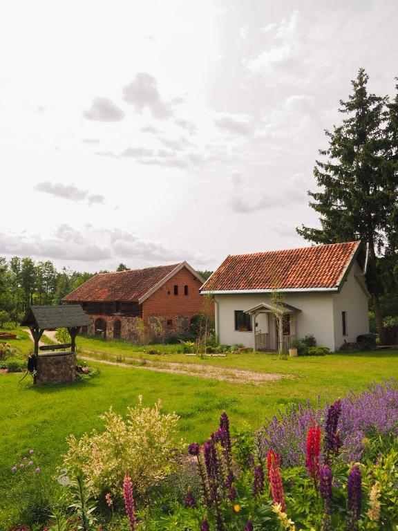 a house and a garden with flowers in the foreground at Po Prostu Dobro in Mrągowo