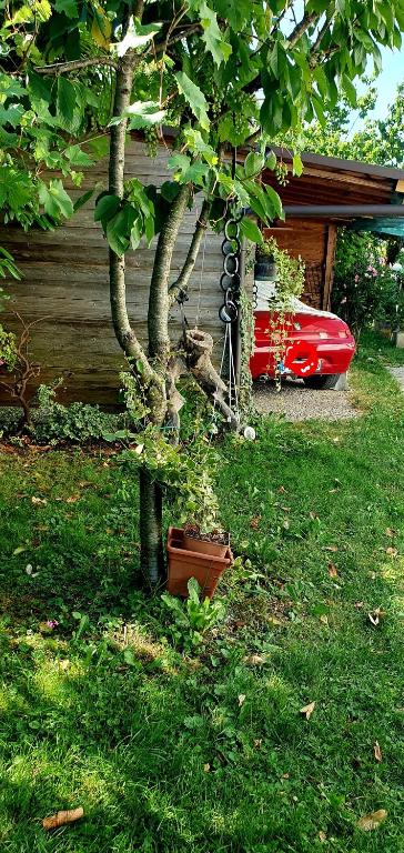 Zahrada ubytování Casa Lorelein