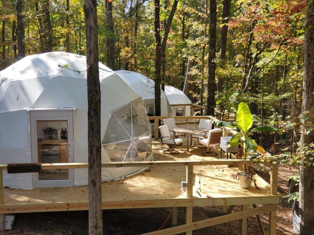 Un jardín fuera de The Glamp Inn