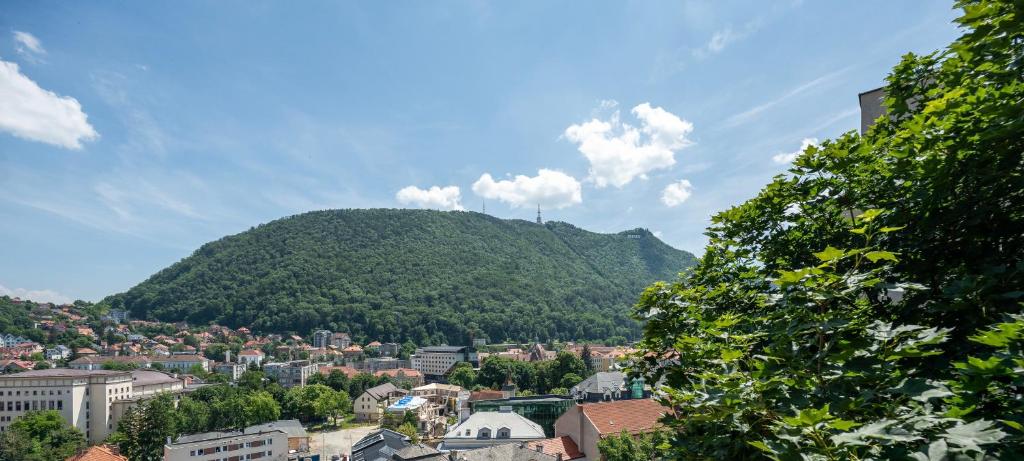 Casa Cranta - Resim 11