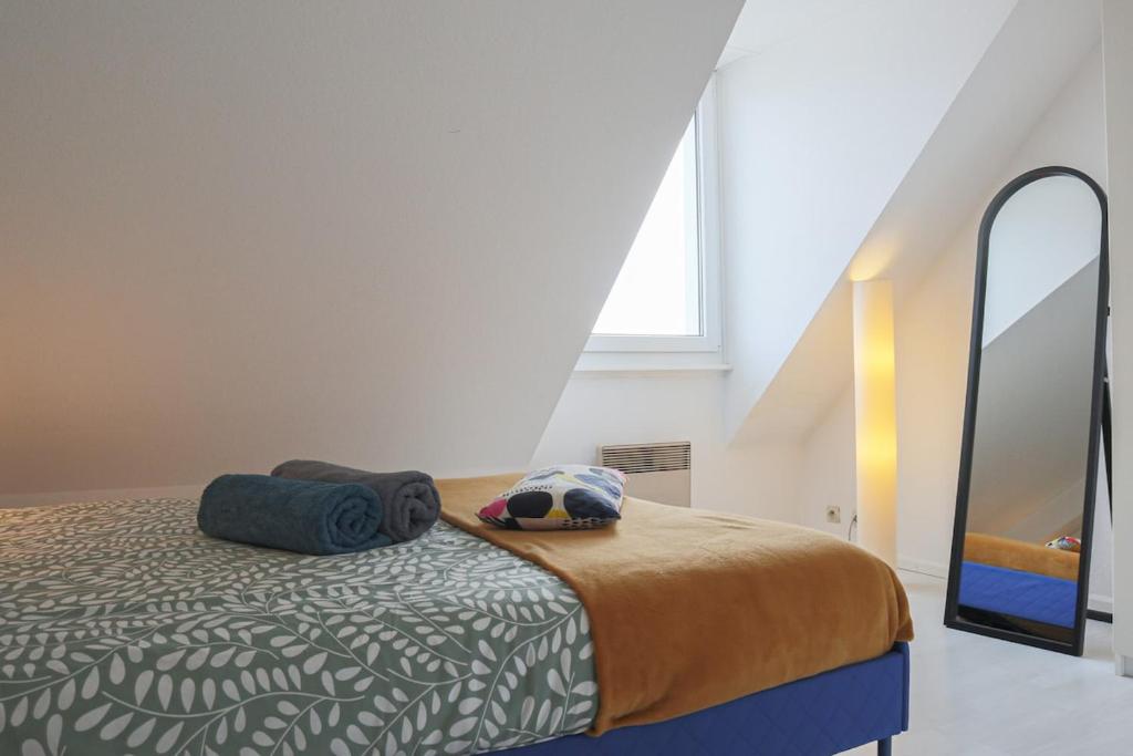 LE DUPLEX BORDERLINE , balade au bord du Rhin – photo 2
