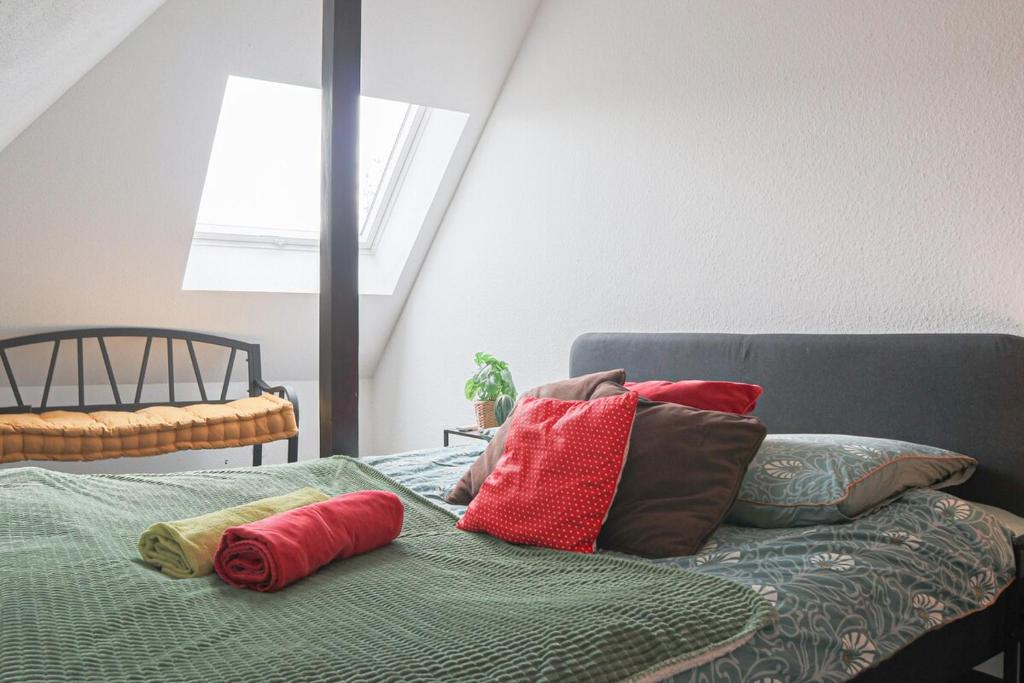 LE DUPLEX BORDERLINE , balade au bord du Rhin – photo 16