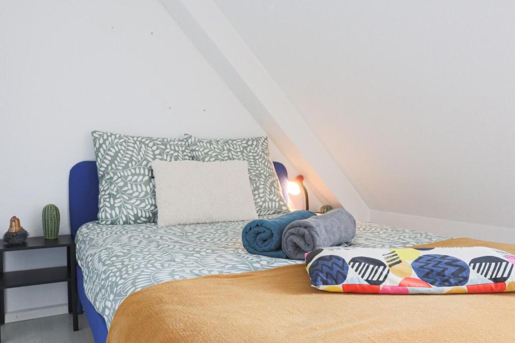 LE DUPLEX BORDERLINE , balade au bord du Rhin – photo 17