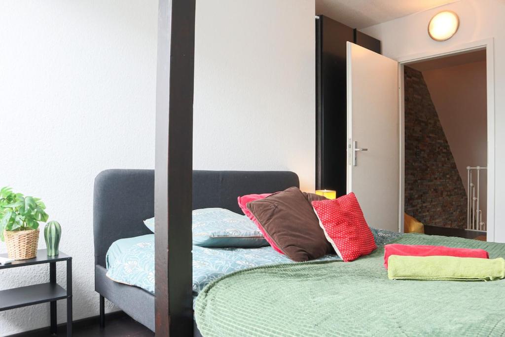 LE DUPLEX BORDERLINE , balade au bord du Rhin – photo 20