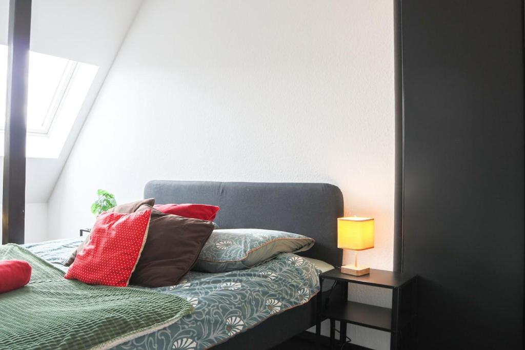 LE DUPLEX BORDERLINE , balade au bord du Rhin – photo 23