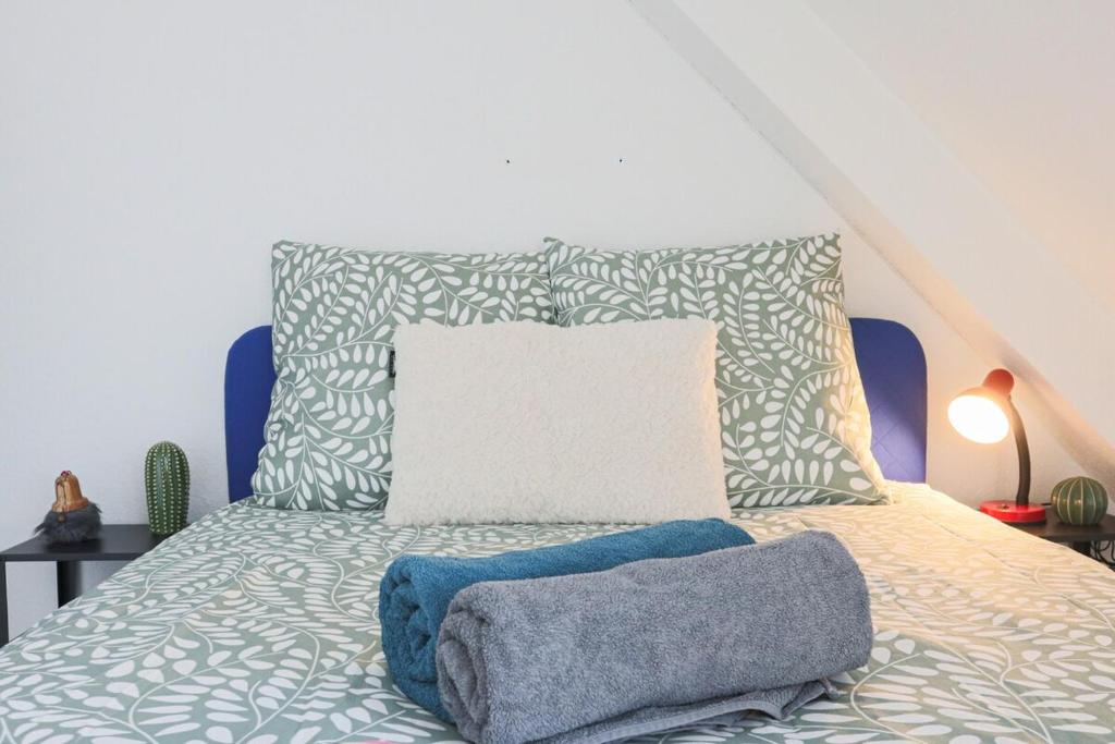 LE DUPLEX BORDERLINE , balade au bord du Rhin – photo 28
