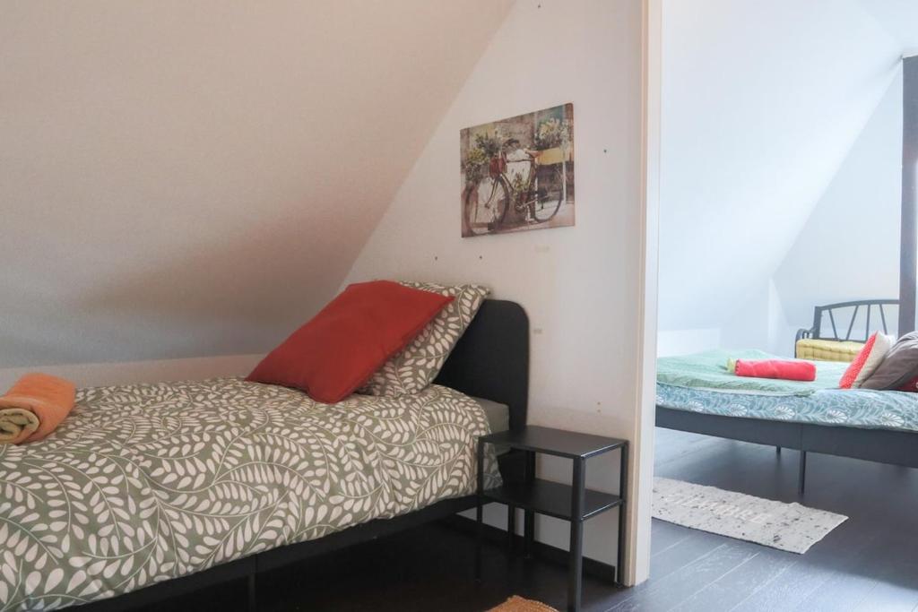 LE DUPLEX BORDERLINE , balade au bord du Rhin – photo 30