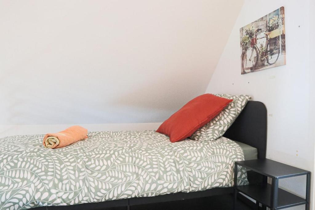 LE DUPLEX BORDERLINE , balade au bord du Rhin – photo 31