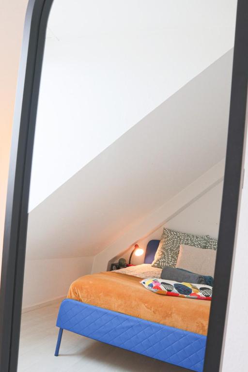 LE DUPLEX BORDERLINE , balade au bord du Rhin – photo 35