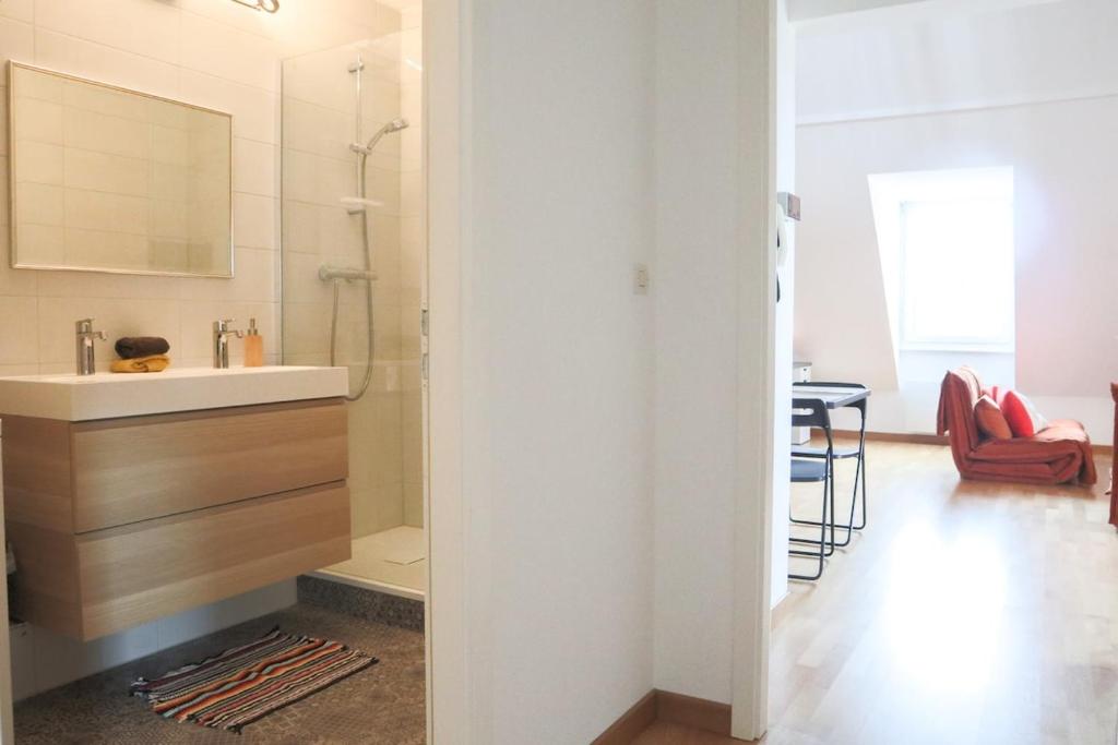 LE DUPLEX BORDERLINE , balade au bord du Rhin – photo 3