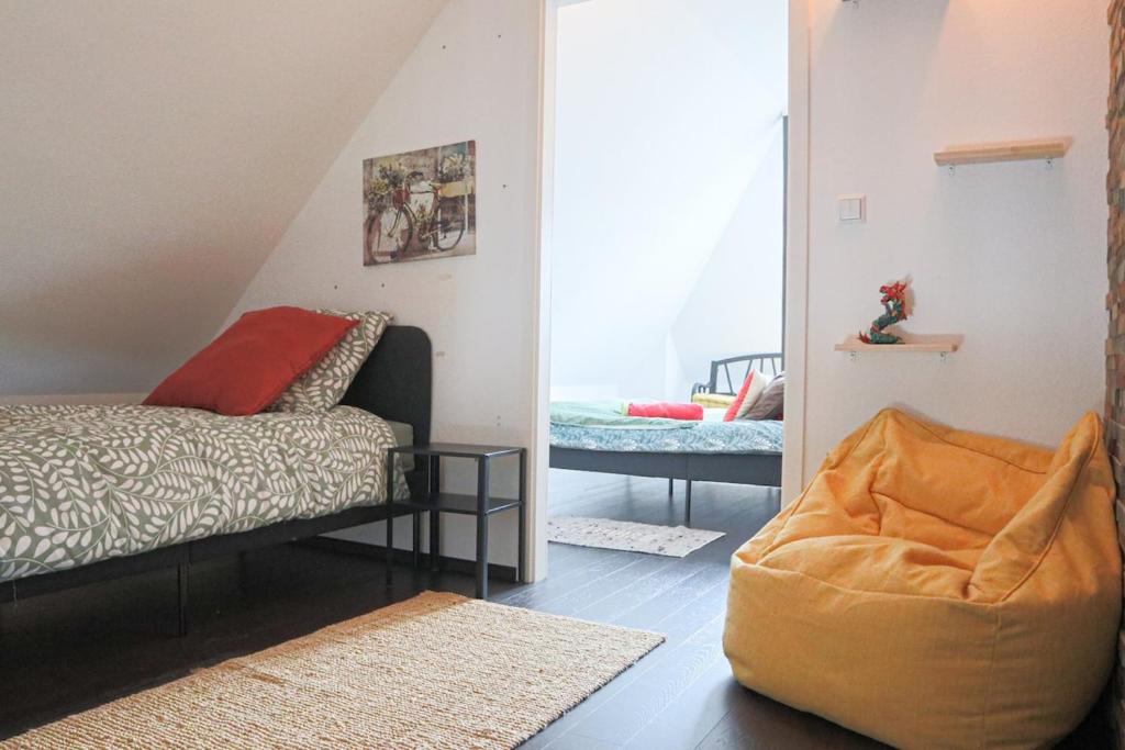 LE DUPLEX BORDERLINE , balade au bord du Rhin – photo 7