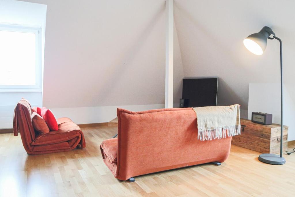 LE DUPLEX BORDERLINE , balade au bord du Rhin – photo 37