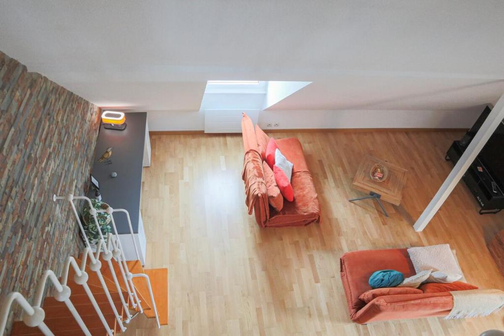LE DUPLEX BORDERLINE , balade au bord du Rhin – photo 8
