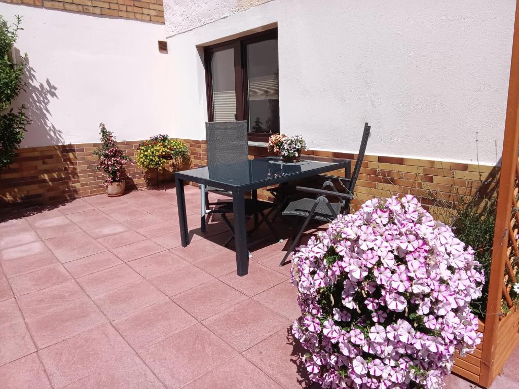 Jardí fora de Ferienwohnung Schulzke