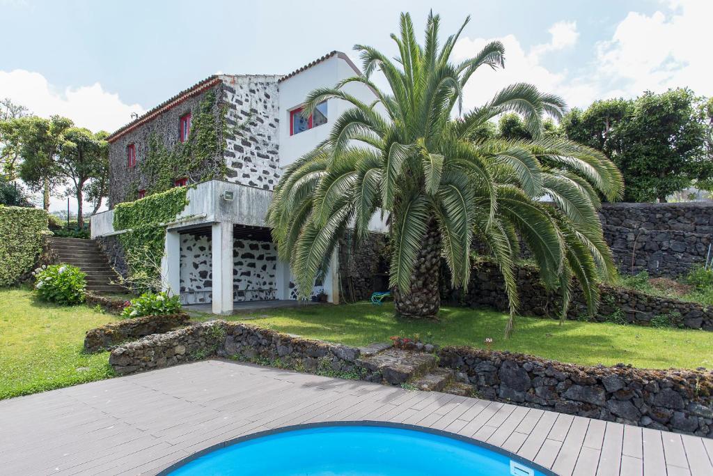 a house with a palm tree and a building at Casa do Maranhão - Nature & Views Experience in Capelas