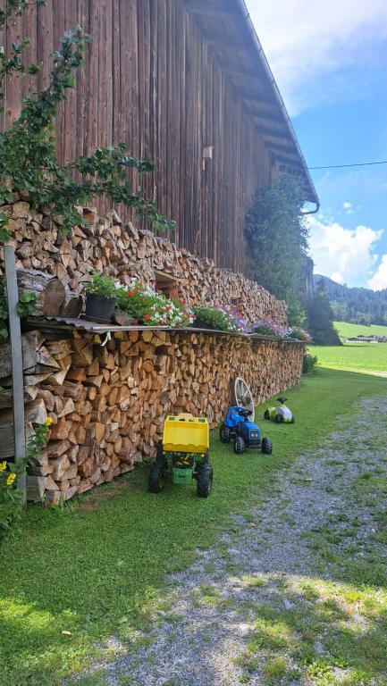 Zahrada ubytování Lippnerhof