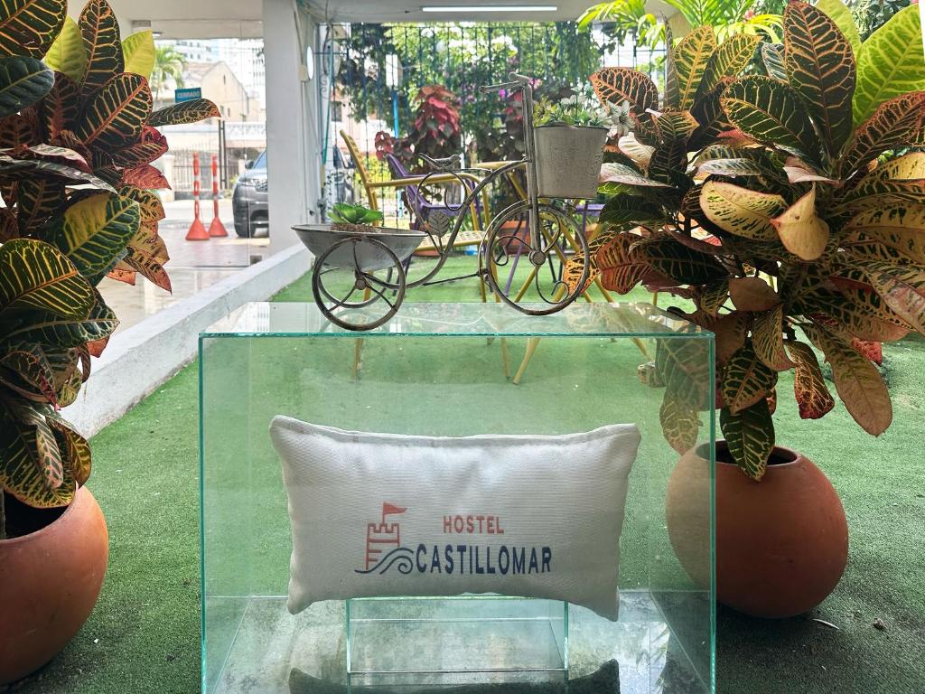 a glass table with a pillow in front of plants at Hotel CastilloMar in Cartagena de Indias