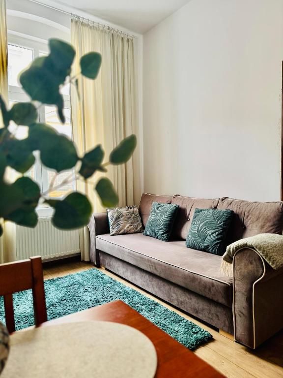 a living room with a couch and a plant at Mazurska in Barczewo