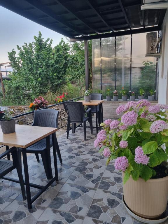 Zahrada ubytování Tony's Terrace