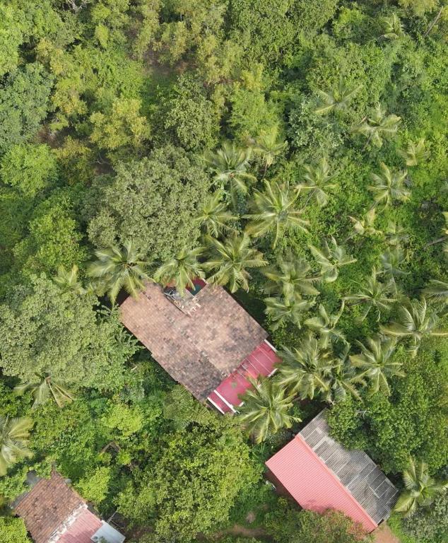 Vayu Room - Interior