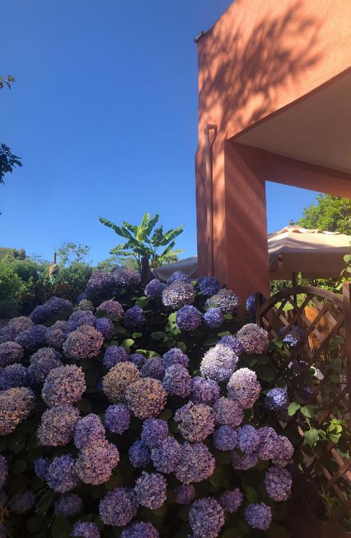Zahrada ubytování Sonnino B&B