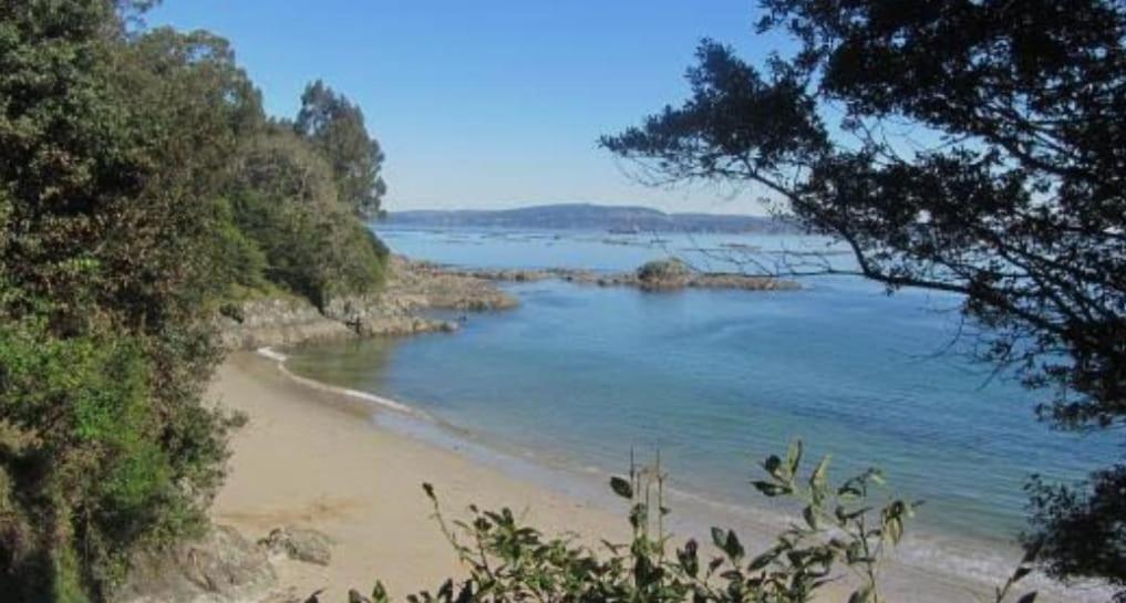 a view of a beach with trees and the water at Casita en Fontán in Sada
