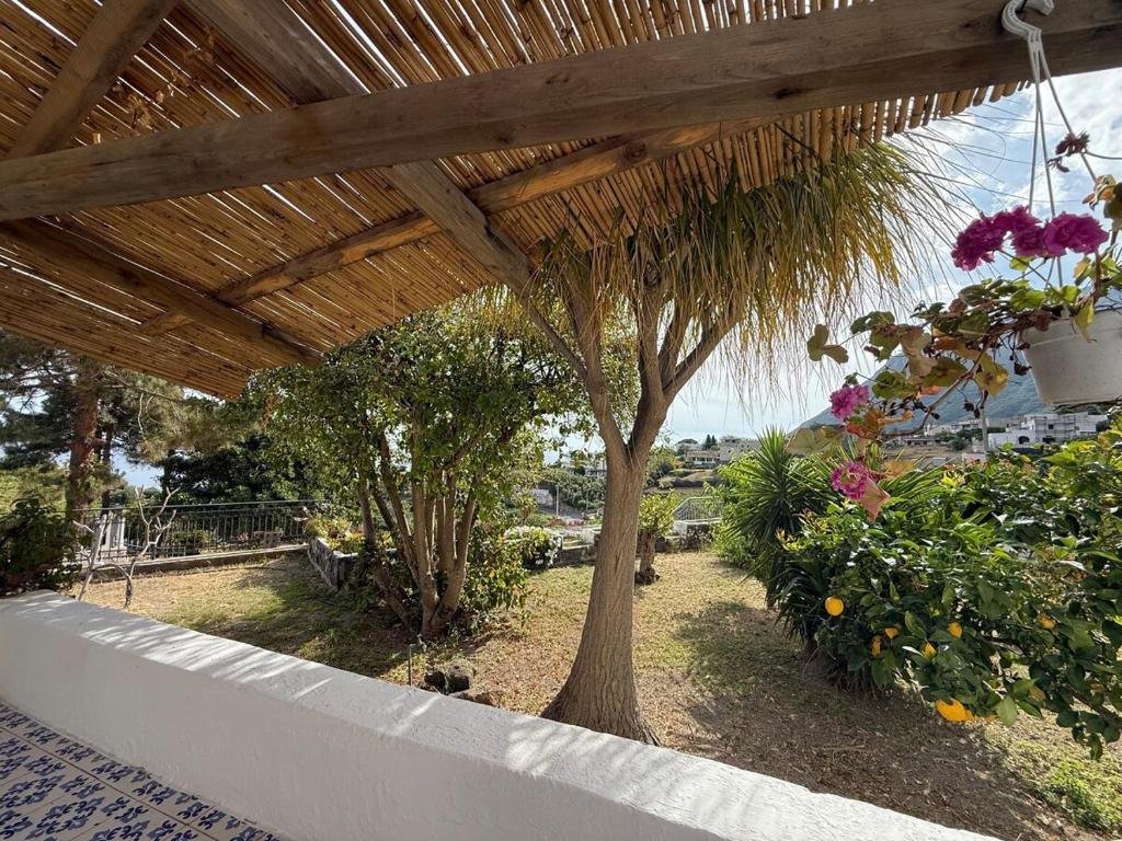 a patio with a tree and a straw umbrella at House La Pennata - sea view in Malfa