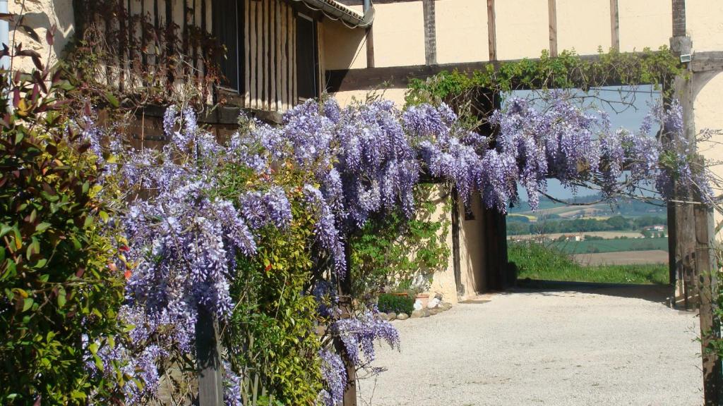 a bunch of purple flowers hanging from a building at Gite du Paradis in Vieuzos