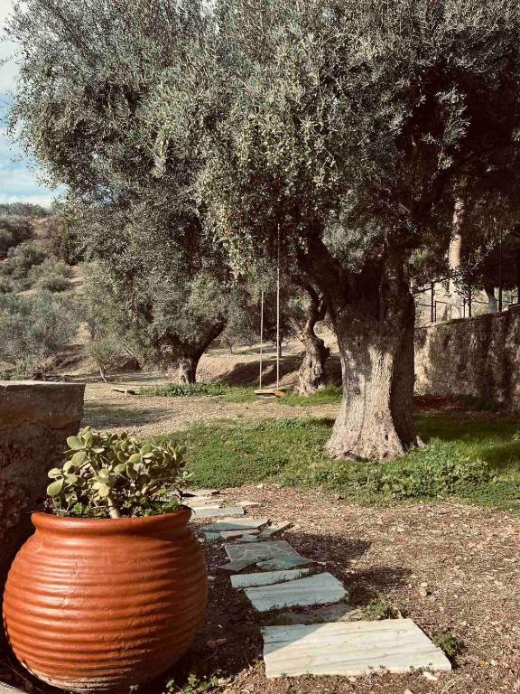 Zahrada ubytování Peloponnese Hideout - Traditional stone house