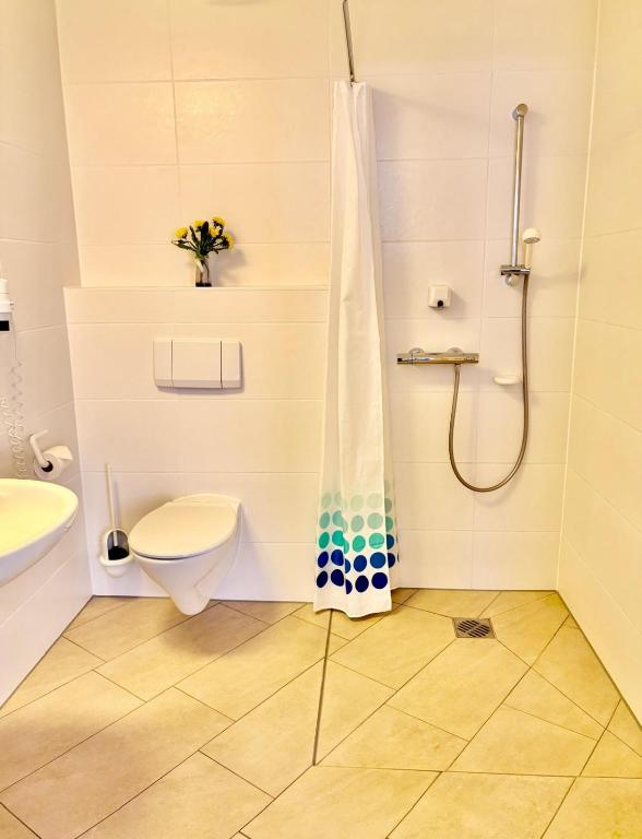 Hotel Goldener Adler - Standard Double Room