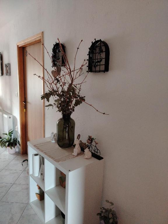 Fotografie z fotogalerie ubytování Apartment Ada bed & breakfast v destinaci Gračac